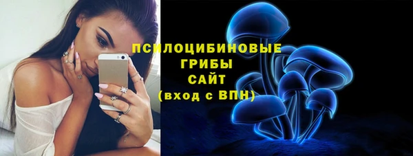 МДПВ Верхний Тагил